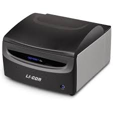 LICOR Odyssey CLx